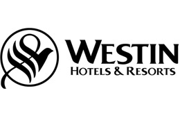 Bluechip client logo